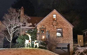 Christmas Decor Reindeer Exterior