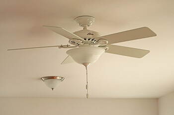 fan