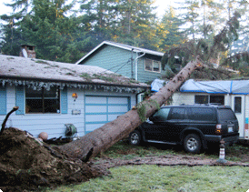 Home liability insurance coverage